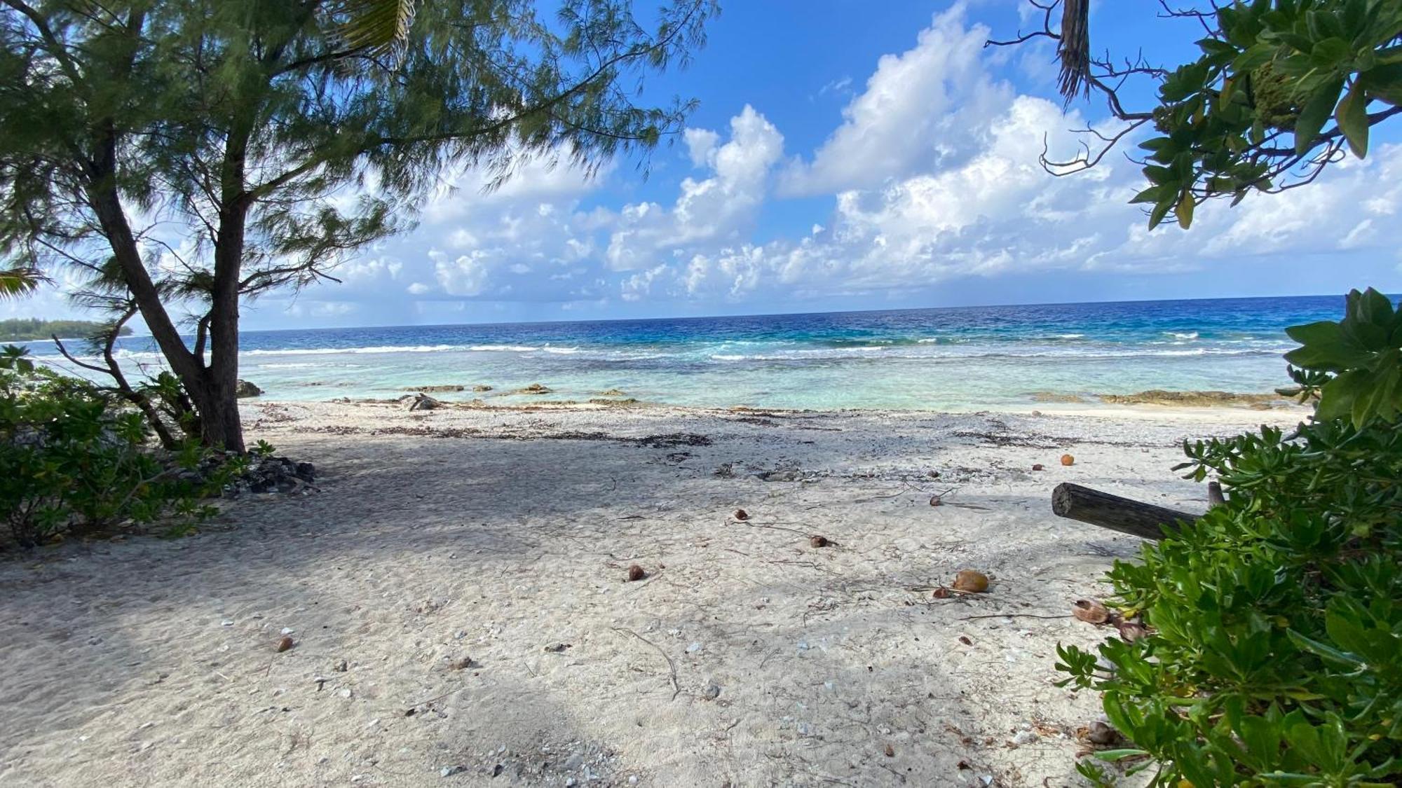 Moorea Chill And Beach Lodge Teavaro 外观 照片