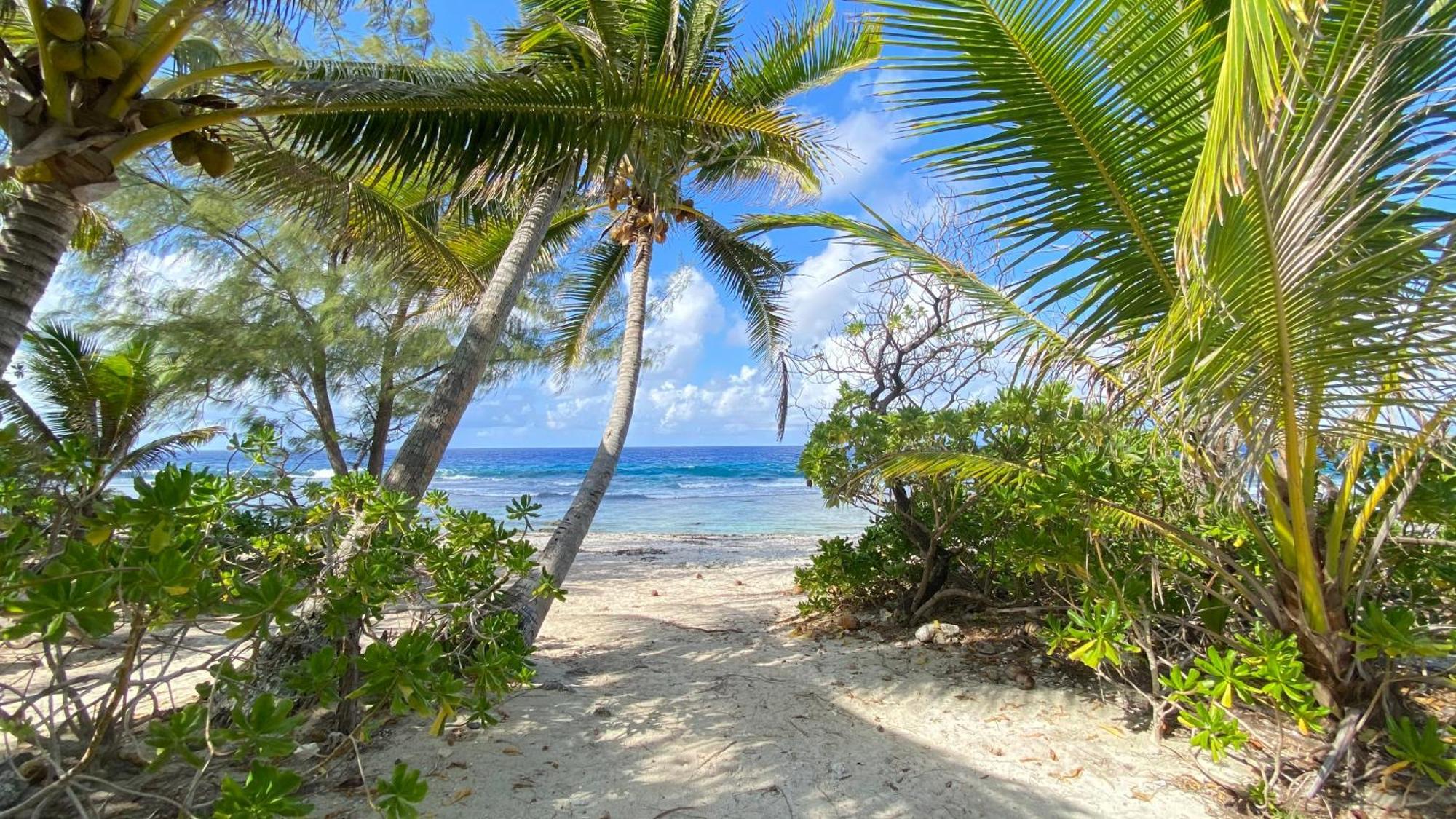 Moorea Chill And Beach Lodge Teavaro 外观 照片